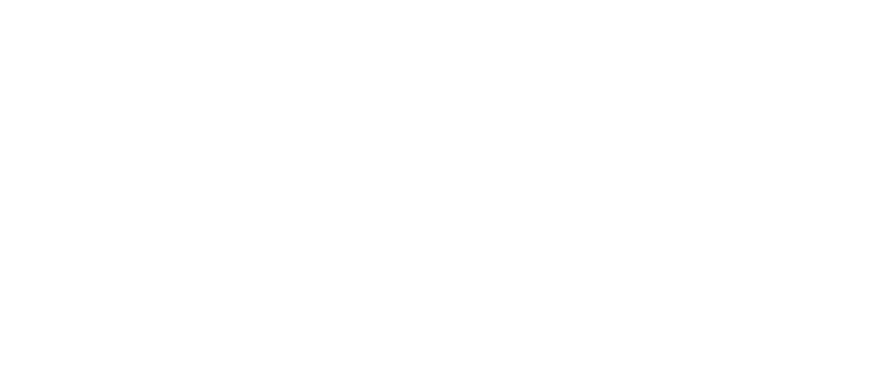 챗실장